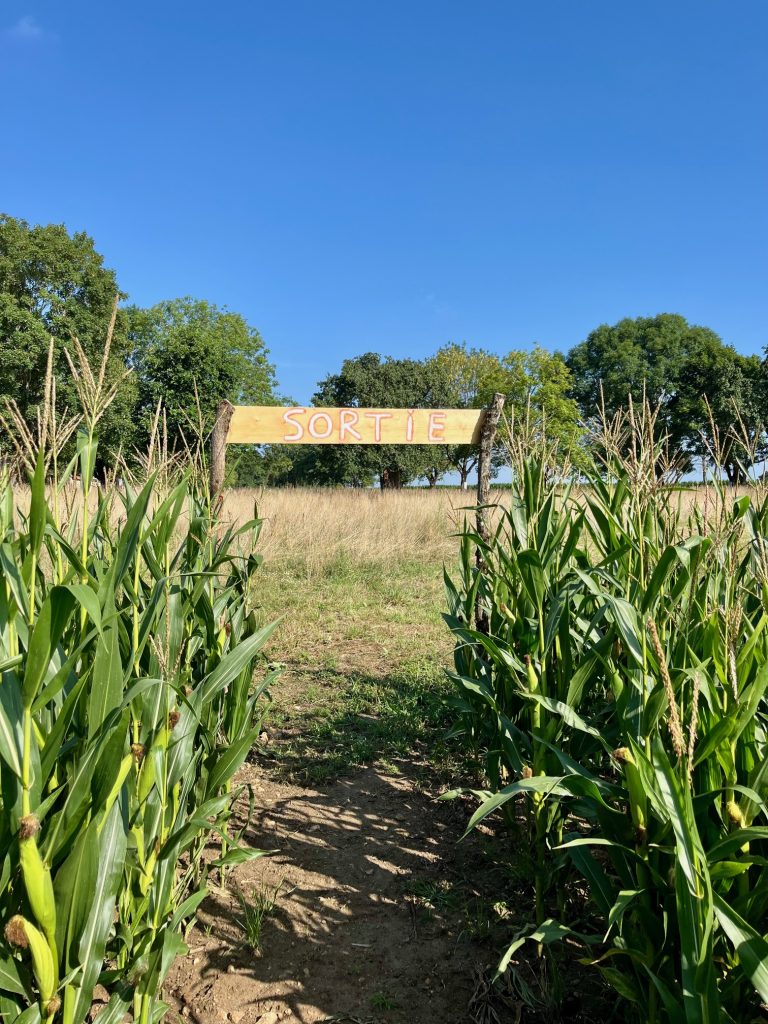 Labyrinthe de maïs de la Ferme de la Forêt proche de Marcoussis