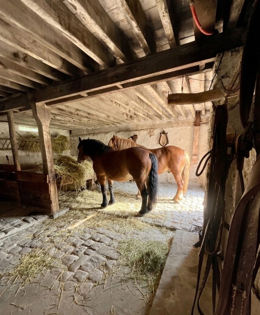 Écurie de ferme ancienne avec chevaux, pavés d'époque et poutres en chêne, lieu de tournage Île-de-France