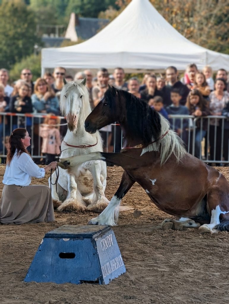 chevauxSpectacle de chevaux au festival Campagne et Ruralité en Fête 2026 en Essonn